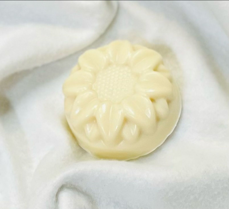 1000005545_cae17987-c13e-473d-85a8-45b16e8c81b6-4x